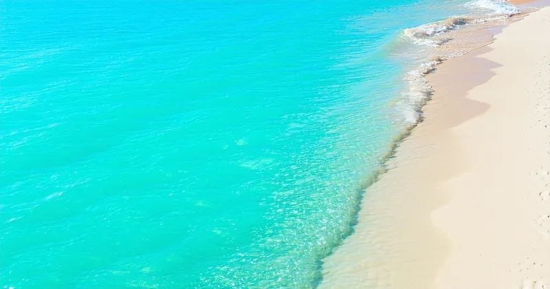 Florida tourist development tax compliance guide for STR hosts